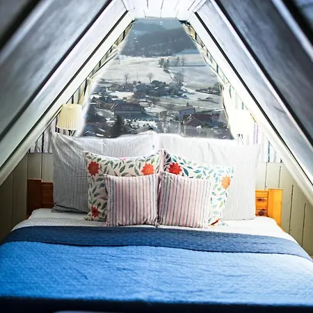 S Wellness *